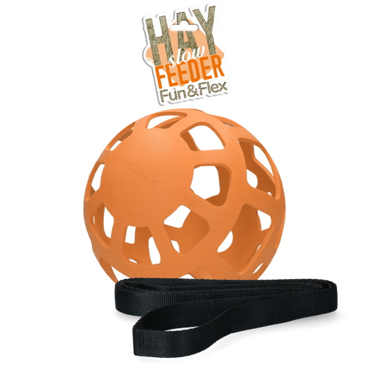 Hay Slow Feeder Fun & Flex Oranje