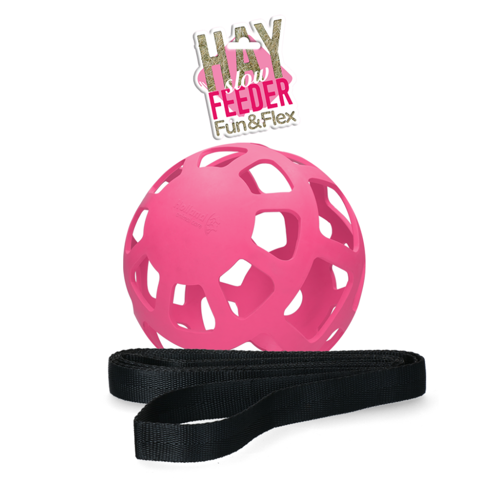 Hay Slowfeeder fun and flex 22 cm Roze Bal