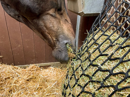 Hay Slow Feeder Net 10 kg (60/45 mm)