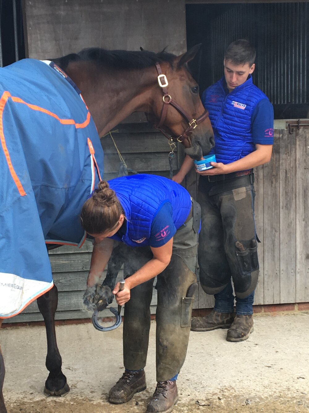 Horslyx Mini Luchtwegen
