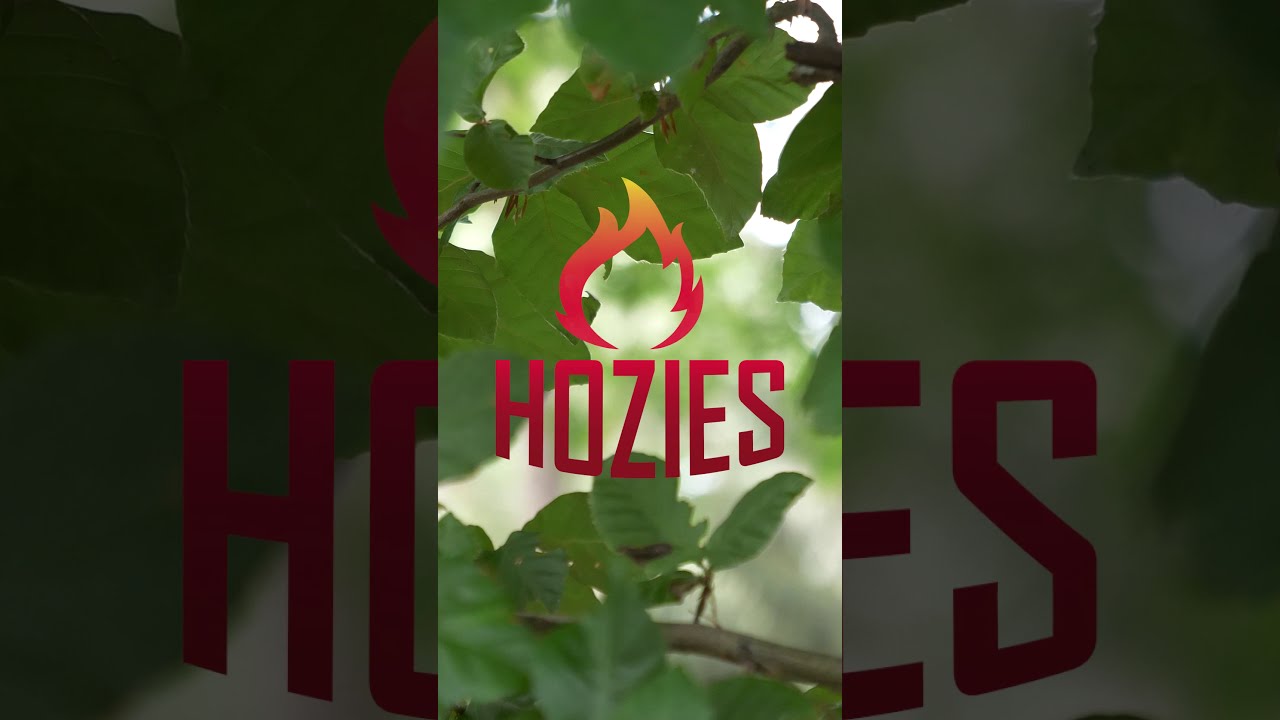 Hozies Jeffrey Jungle S