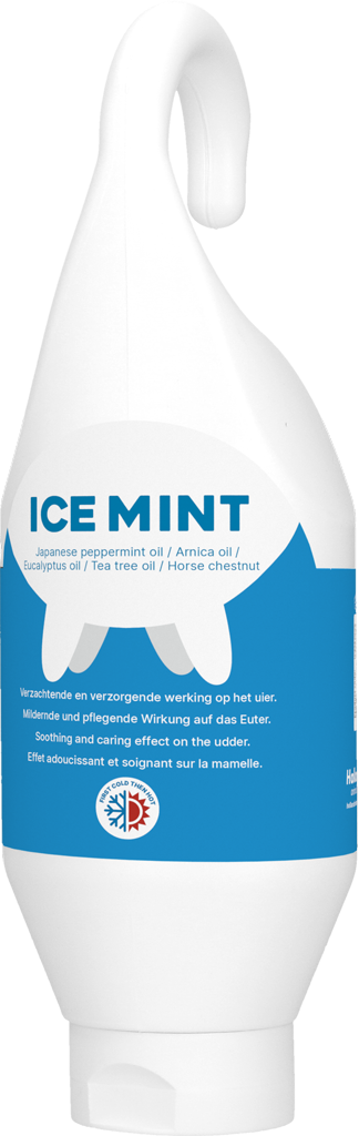 Ice Mint Gel Sta en hangtube 500 ml