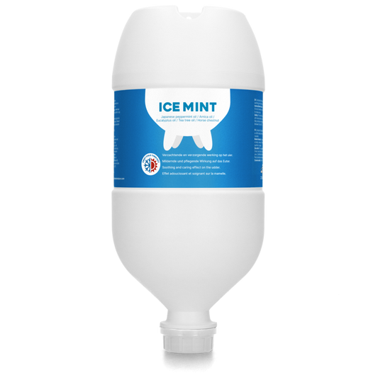Ice Mint Gel 2,5 l