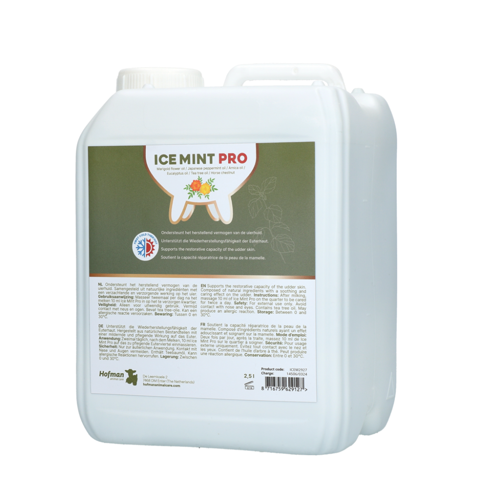 Ice Mint Pro Gel 2,5 l incl. dosator
