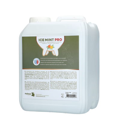 Ice Mint Pro Gel 2,5 l incl. dosator