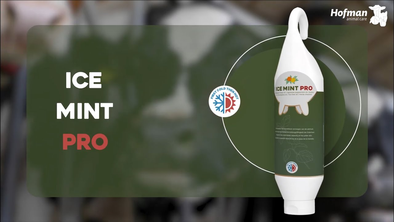 Ice Mint Pro Gel 2,5 l incl. dosator