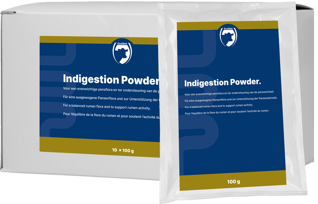 Excellent Indigestie Poeder 10 x 100 g