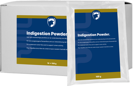 Excellent Indigestie Poeder 10 x 100 g