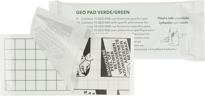Geo Lijmplaat Levensmiddelenmot (Ephestia/Plodia)