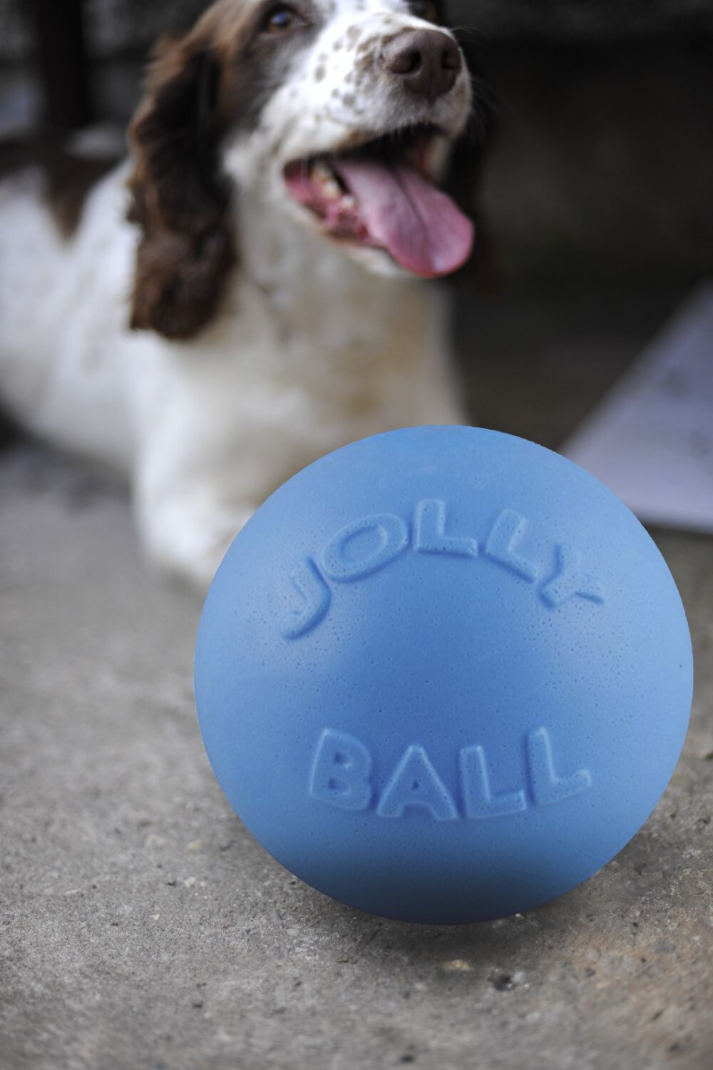 Jolly Bounce-n Play Bosbessen L (20 cm)