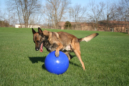 Jolly Push-n-Play Blauw XL (35 cm)
