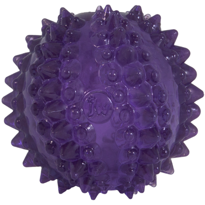JW Puppy - Bristl-ee Cactus Ball