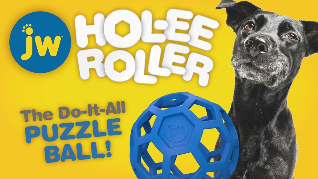 JW Hol-ee Roller assorti Jumbo - 19 cm
