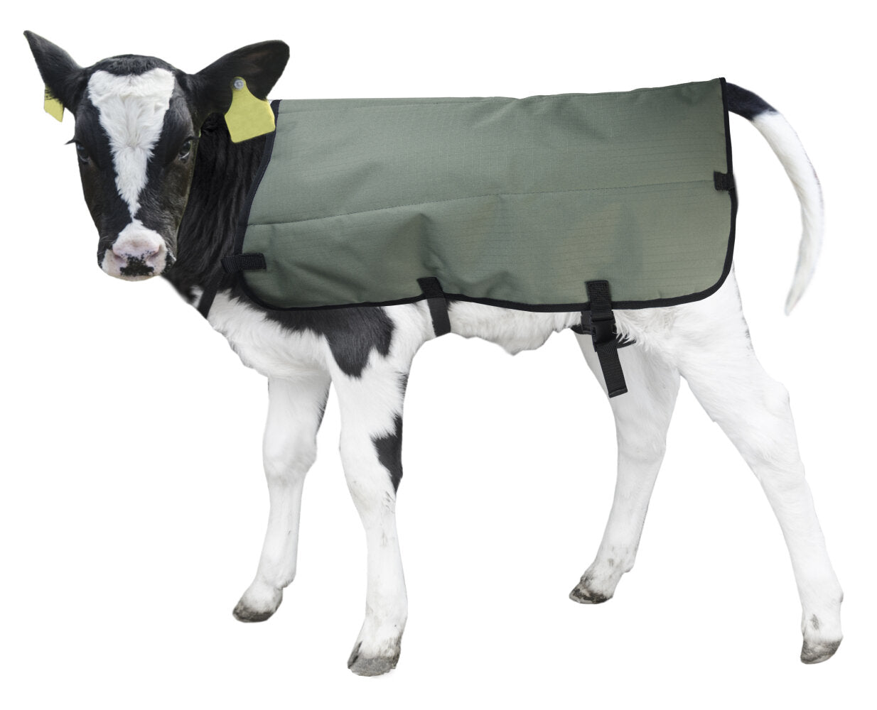 Calf Coat Kalverdek (Private Label) 70 cm