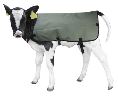 Calf Coat Kalverdek 70 cm
