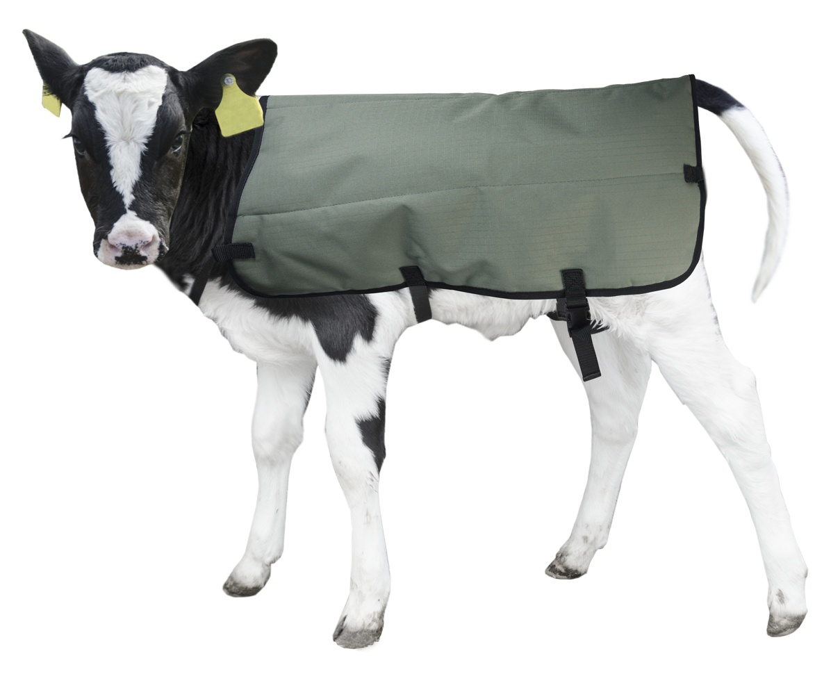 Calf Coat Kalverdek 80 cm