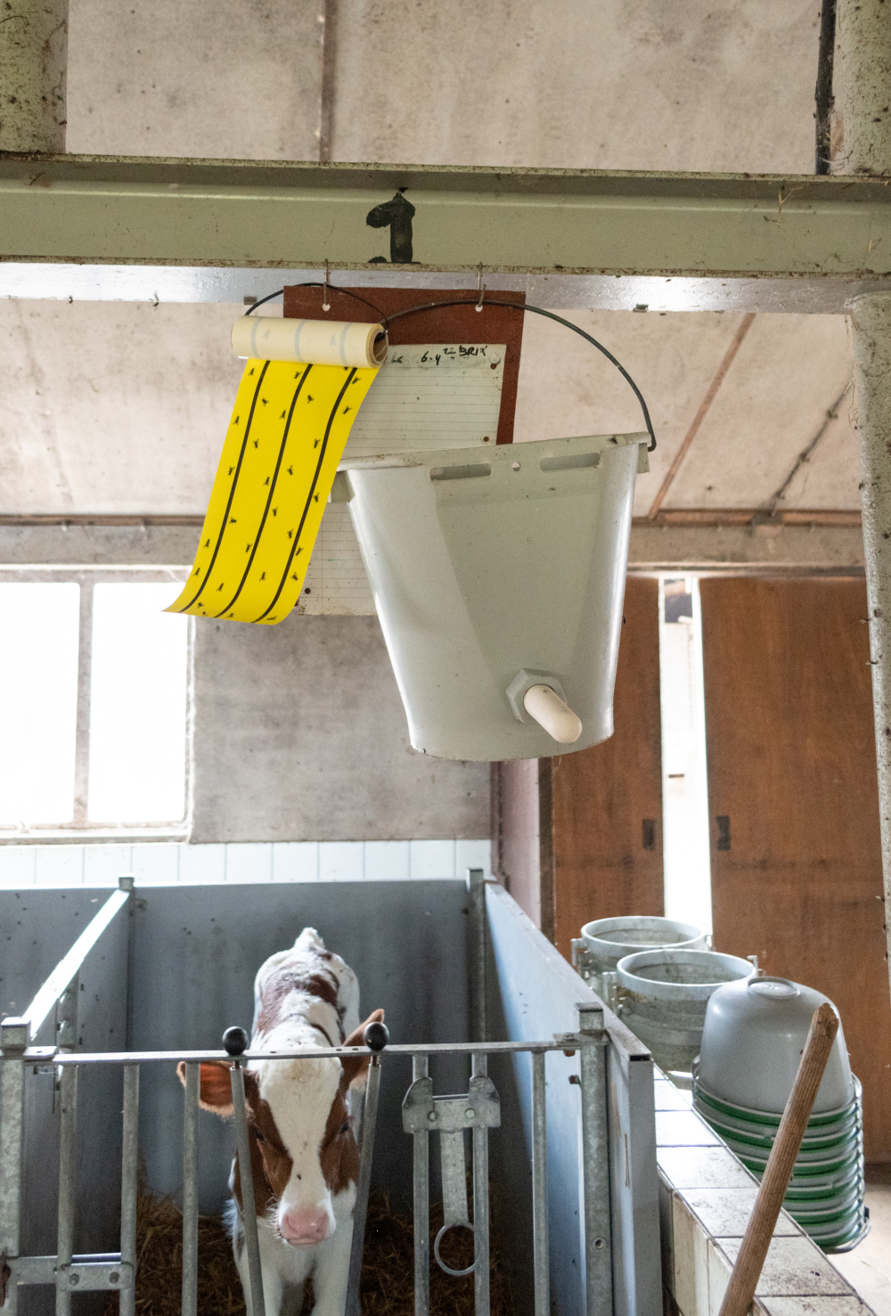 Knock Pest Vliegenkleefrol Geel 5 m