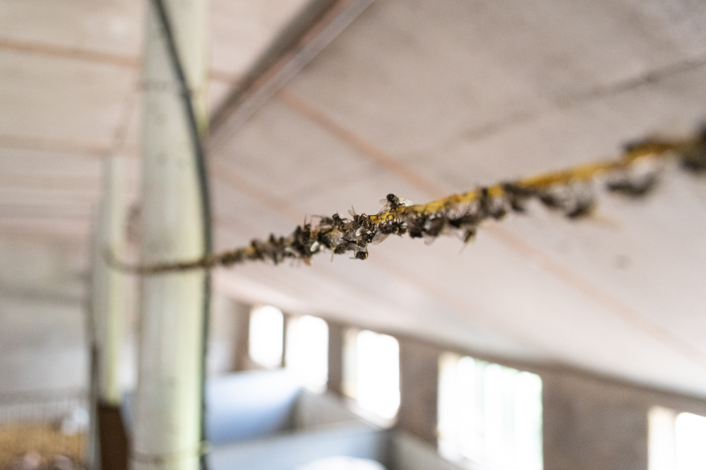 Knock Pest Vliegensnoer Vervangingsrol 400 m