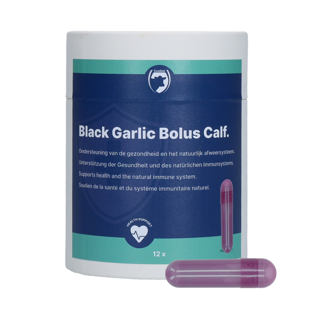 Excellent Black Garlic Bolus Kalf