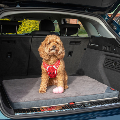 KONG Fold-Up Travel Mat