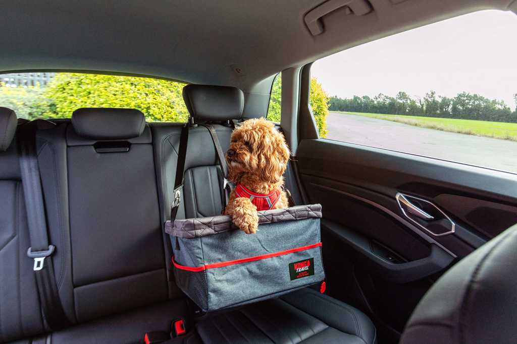 KONG Ultimate Booster Seat &amp; Tether