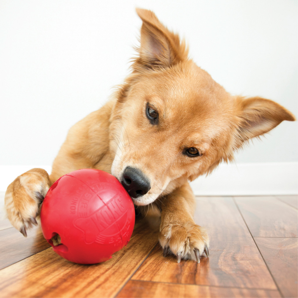 KONG Biscuit Ball Lg