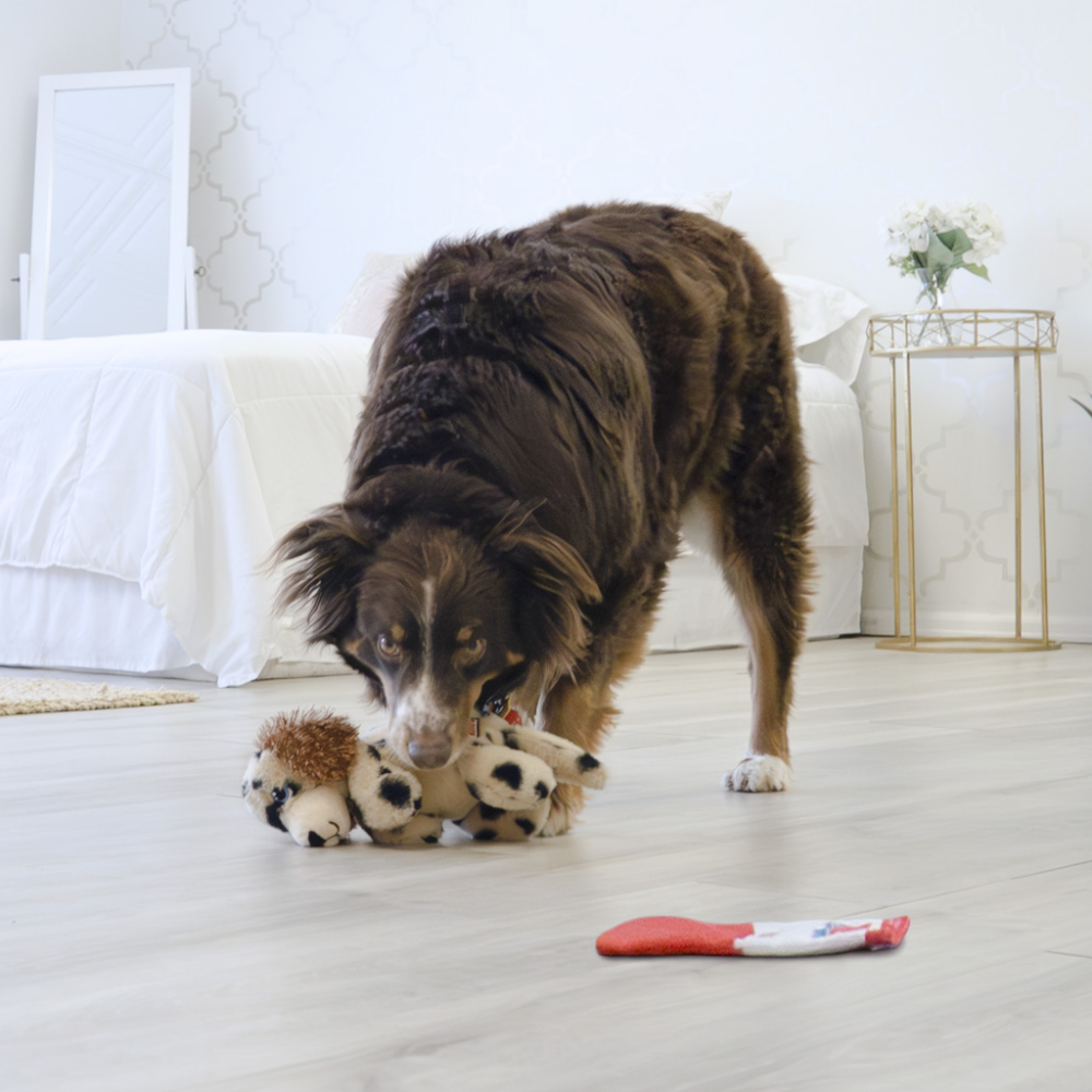 KONG Comfort Pups Spot Md
