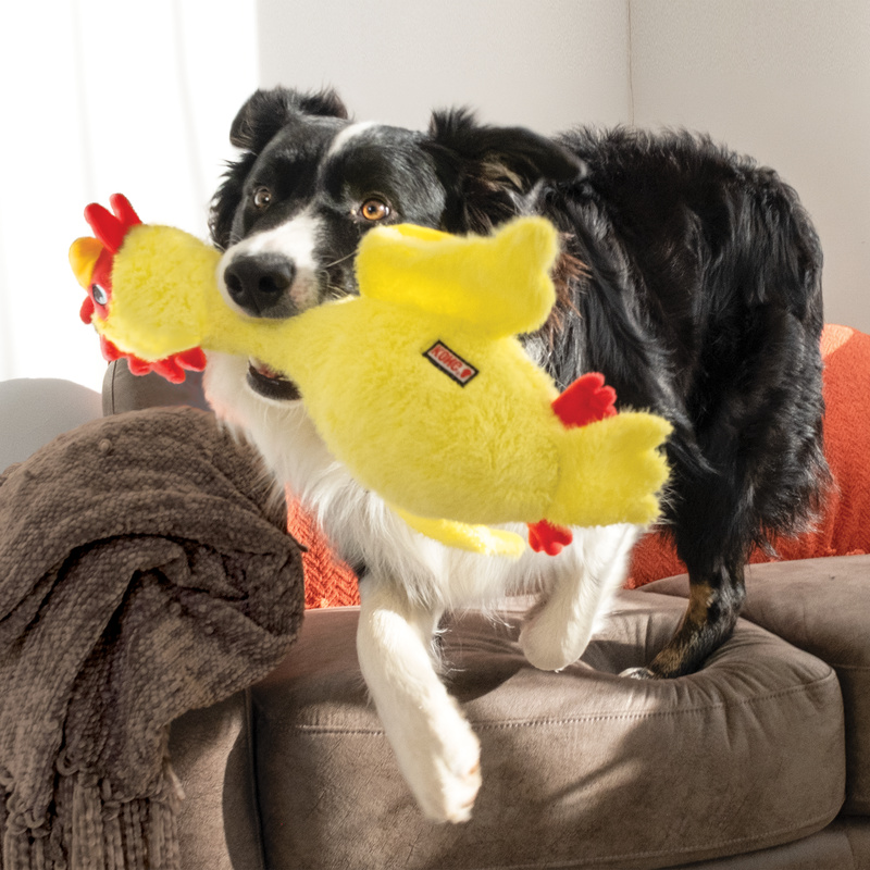 KONG Scruffs Chicken Md/Lg