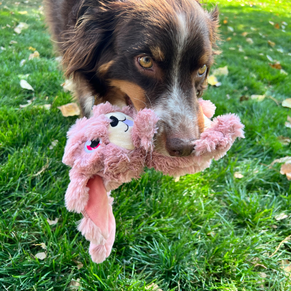 KONG Scrumplez Bunny Md