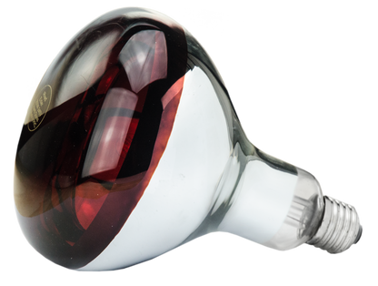Hard Glas Lamp 150 W - Rood