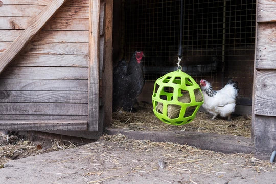 Lax Pikblok voor Legkippen 3,5 kg