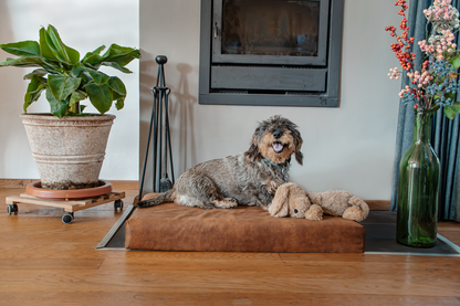 Let's Sleep Mellow Mattress Orthopedisch Kussen L Antraciet