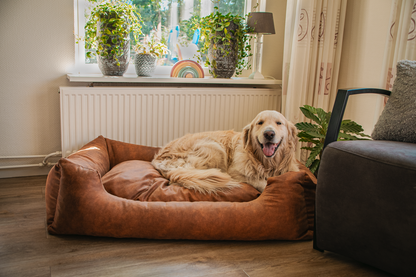 Let's Sleep Sweet Dreams Hondenmand Met Kussen L Cognac