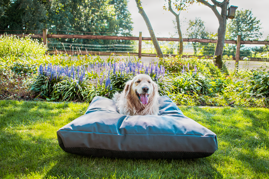 Let's Sleep Cushy Cloud Hondenkussen Buiten XL Antraciet