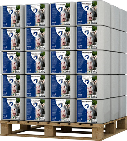 Excellent Liksteen Mineral Schaap 10 kg