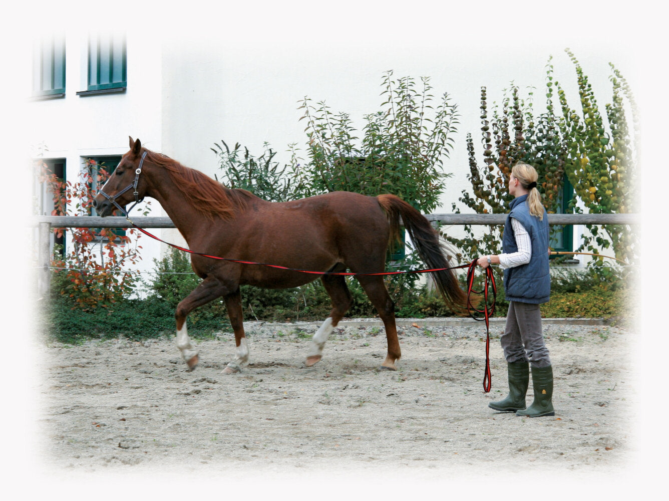Longeerlijn zwart soft 8 meter Rood