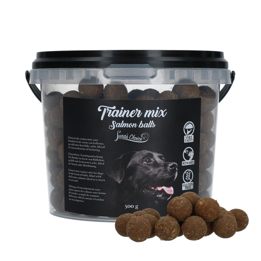 Luna's Choice Trainer Mix Zalm Balletjes (glutenvrij)