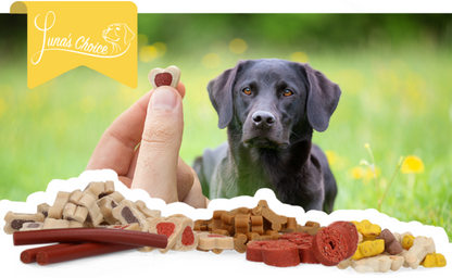 Luna's Choice Trainer Mix Insect Stick Hypoallergeen (glutenvrij)