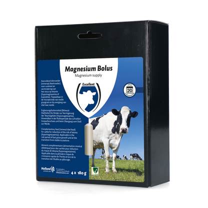 Excellent Magnesium Bolus 4 x 180 g
