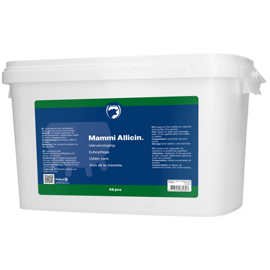 Excellent Mammi Allicin 48 st