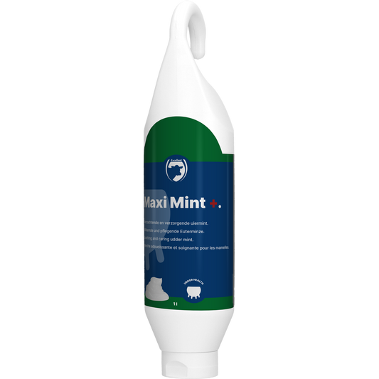 Excellent Maxi Mint+ Sta-/Hangtube 1 l