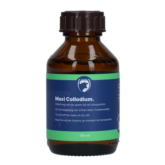 Excellent Maxi Collodium 100 ml