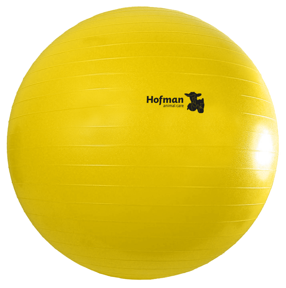Maximus Power Play Ball 100 cm