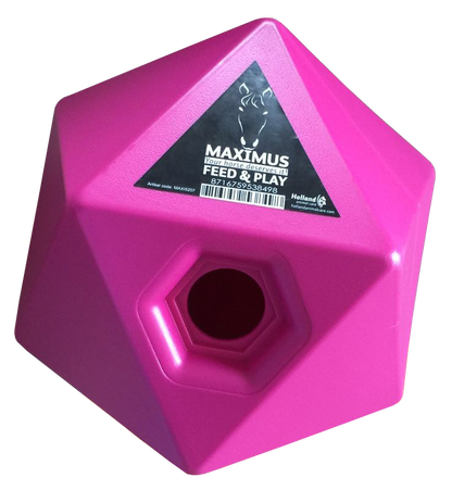Maximus Feed & Play Roze