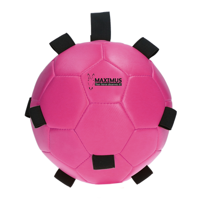 Excellent Horse Fun Play Ball Roze