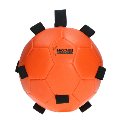 Excellent Horse Fun Play Ball Oranje