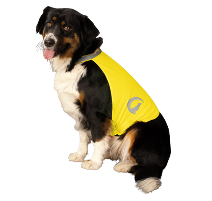 Nightwalk Safety Vest Geel M