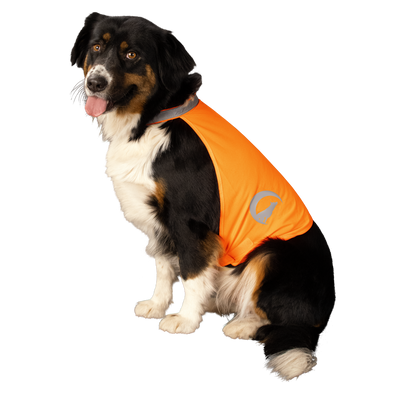 Nightwalk Safety Vest Oranje S