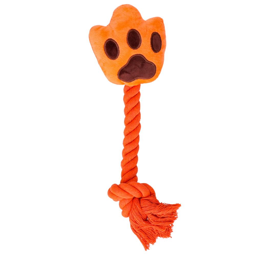 Oranje High Five