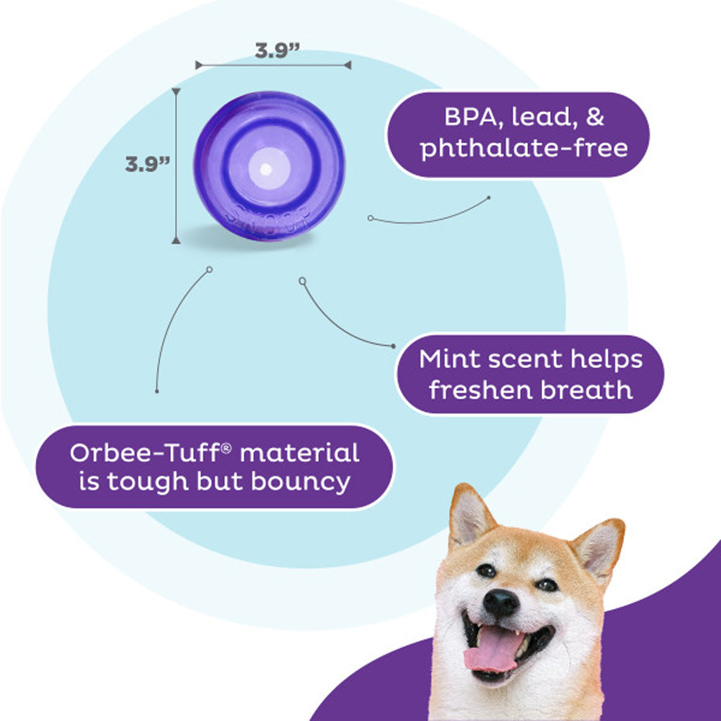 Outward Hound Orbee-Tuff Snoop M Paars
